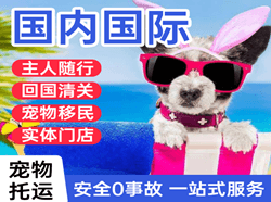 梅州航空快递国际宠物托运 【国